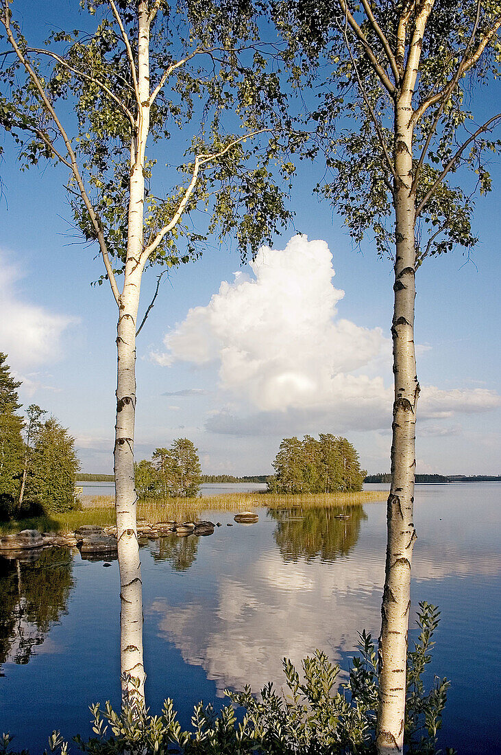 Calm, Calmness, Cloud, Clouds, Color, Colour, Daytime, Ecosystem, Ecosystems, Exterior, Horizon, Horizons, Lake, Lakes, Landscape, Landscapes, Mirror image, Mirror images, Nature, Outdoor, Outdoors, Outside, Peaceful, Peacefulness, Poplar, Poplars, Quiet,