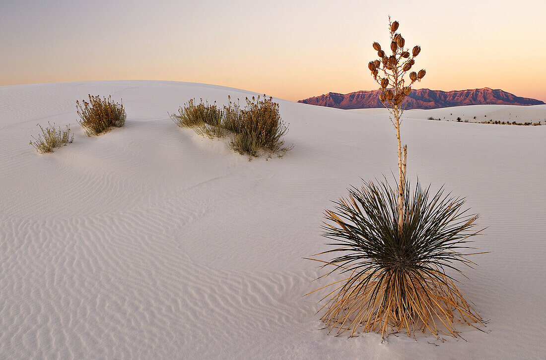 Sunrise in White Sands New Mexico