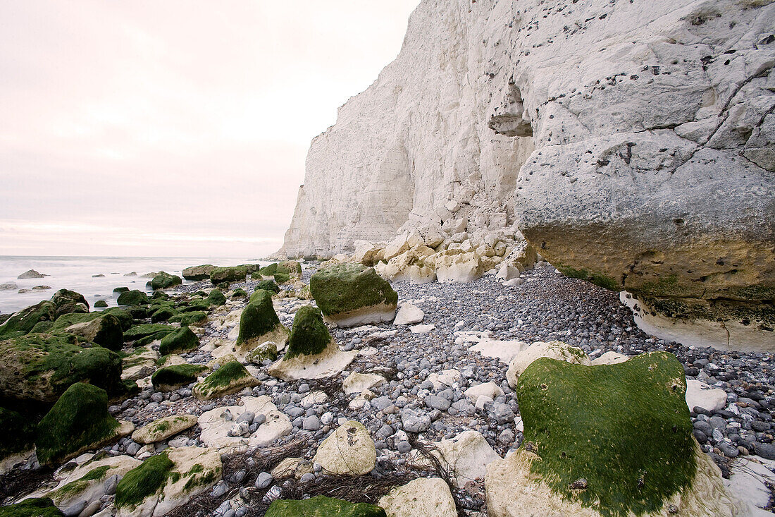 Coast line near Seaford, East Sussex, England, Europe