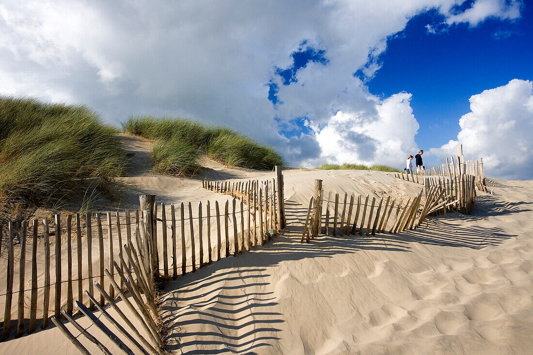 Dünen in Camber Sands, Kent, England, Europe