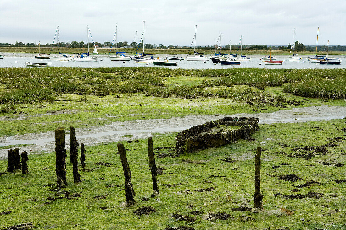 Verlassenes Bootswrack bei Bosham, West Sussex, England,  Europa