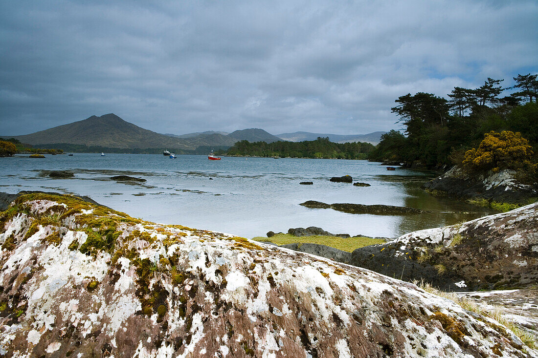 Küstenstrasse, Ring of Beara, Beara Peninsula, County Kerry, Irland, Europa