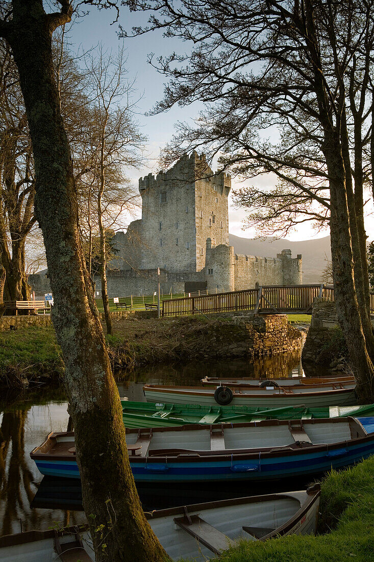Ross Castle am Lough Leane, bei Killarney Nationalpark, County Kerry, Irland, Europa