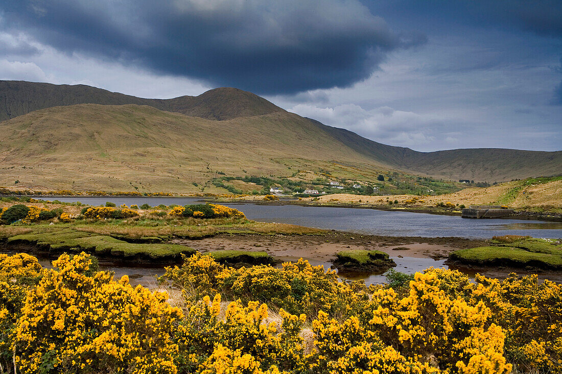 Landschaft in Connemara, County Mayo, Irland, Europa