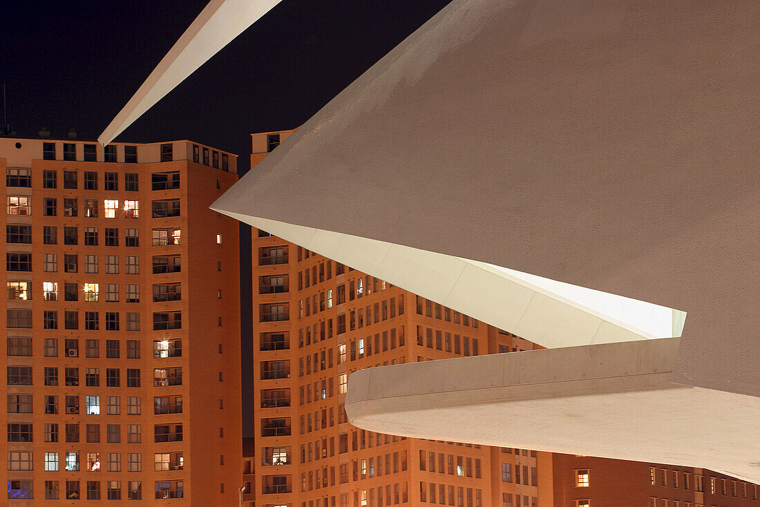 Palacio de las Artes Reina Sofía, City of Arts and Sciences, by S. Calatrava. Valencia. Comunidad Valenciana, Spain