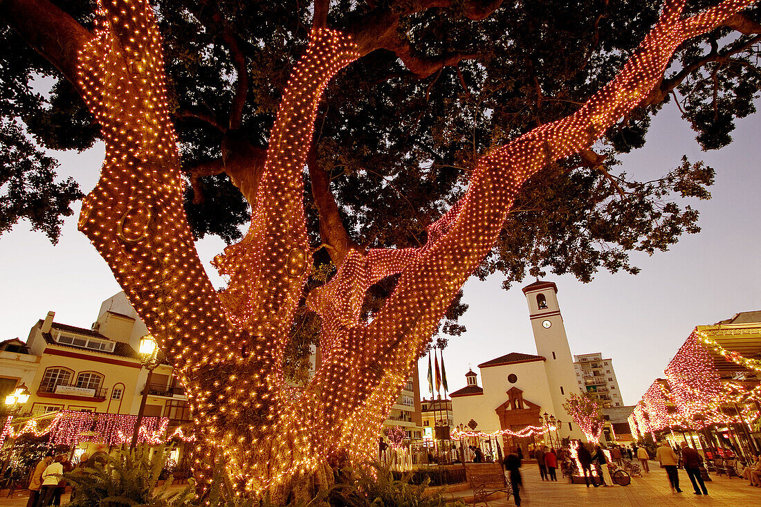 Christmas lights in Constitution Square, Fuengirola. Málaga province, Costa del Sol. Andalusia, Spain