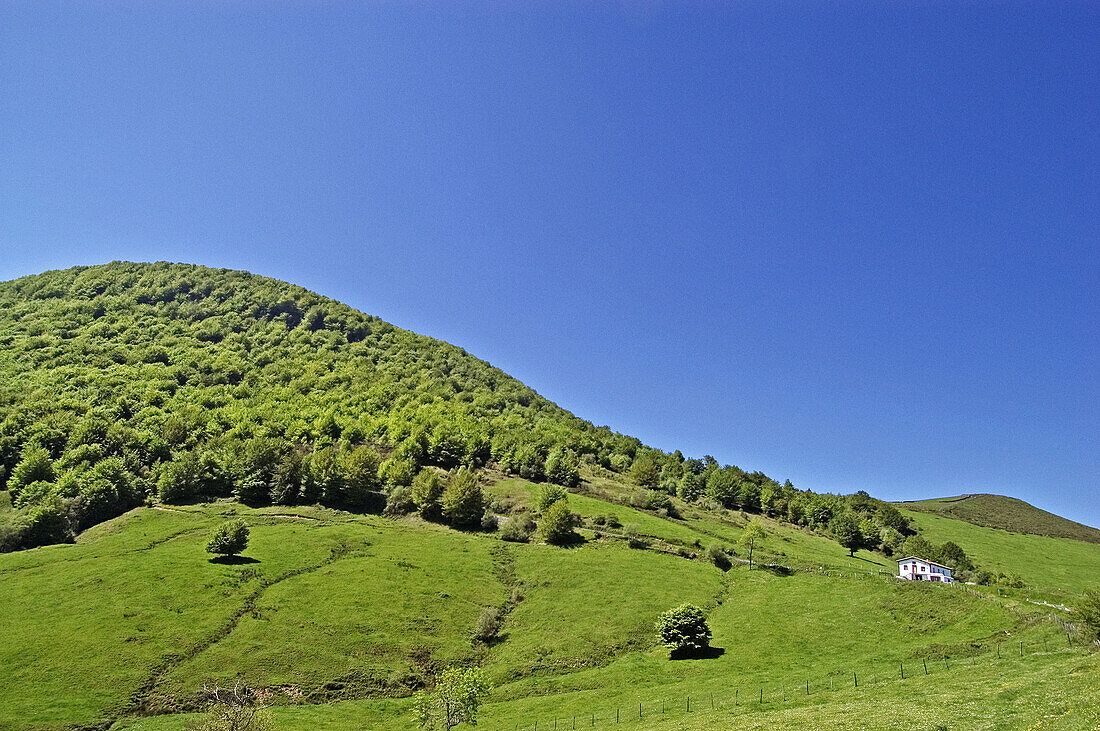 Mountain landscape, Tornos pass. Cantabria, Spain