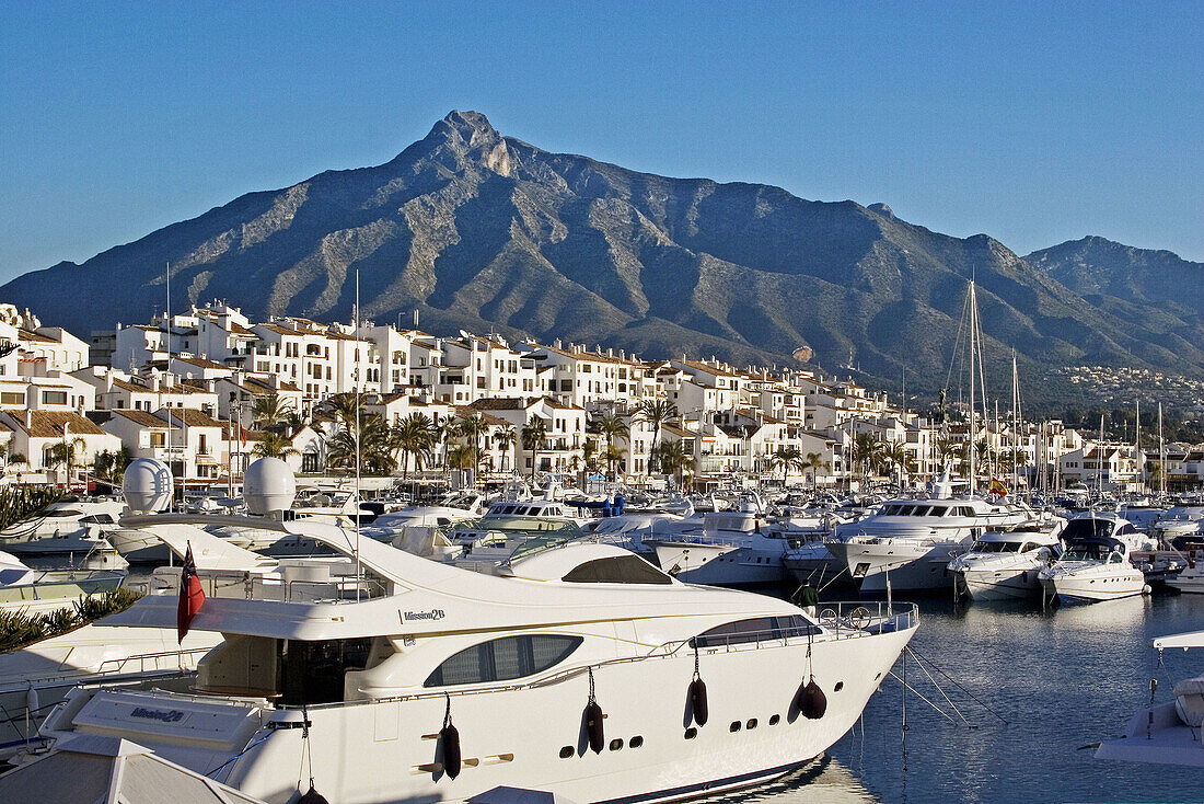 Puerto Banús marina, Marbella. Málaga province, Costa del Sol. Andalusia, Spain