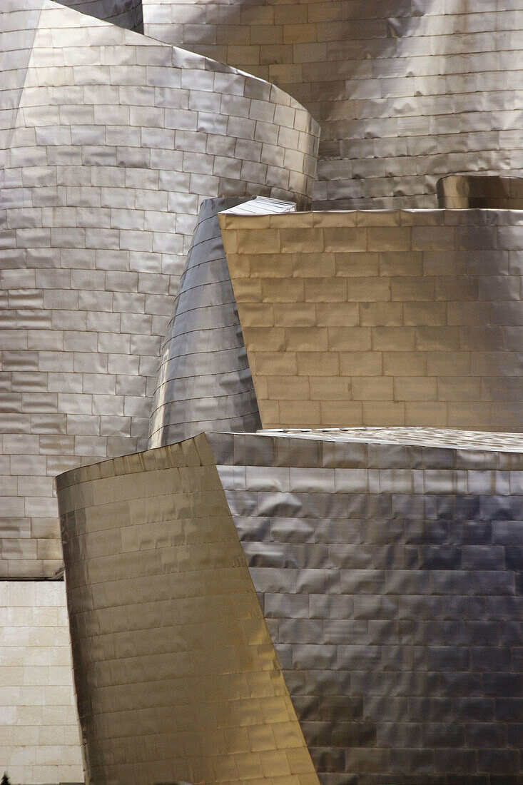 Detail of Guggenheim Museum, Bilbao. Biscay, Euskadi, Spain