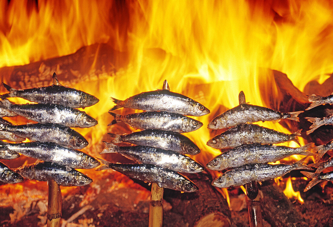 Sardines. Andalucia. Spain.