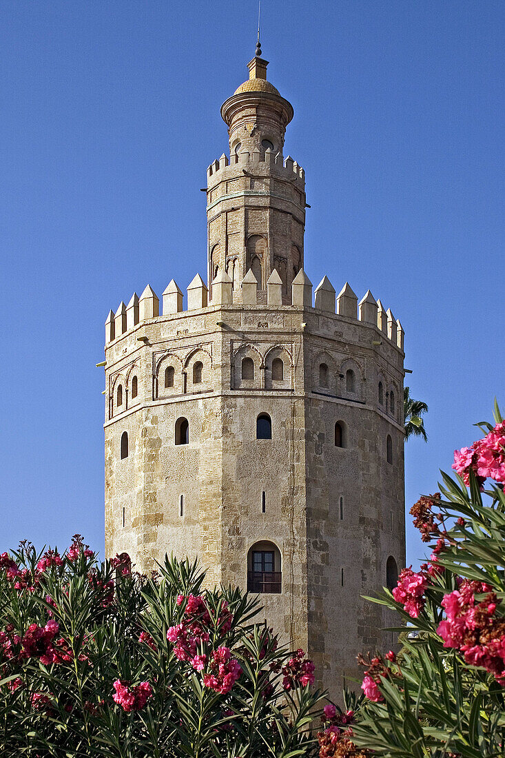 Torre del Oro. Sevilla. Andalucia. Spain.