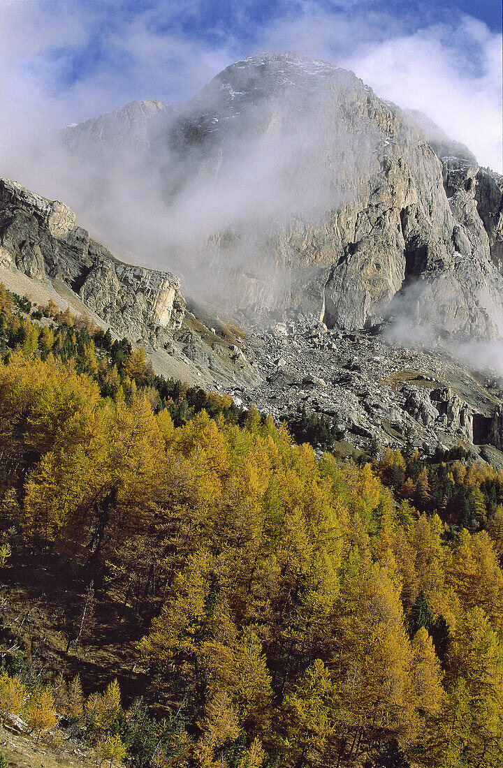 National Park des Ecrins, larch forest, autumn colours, mountain peak, Haute Dauphiné, France