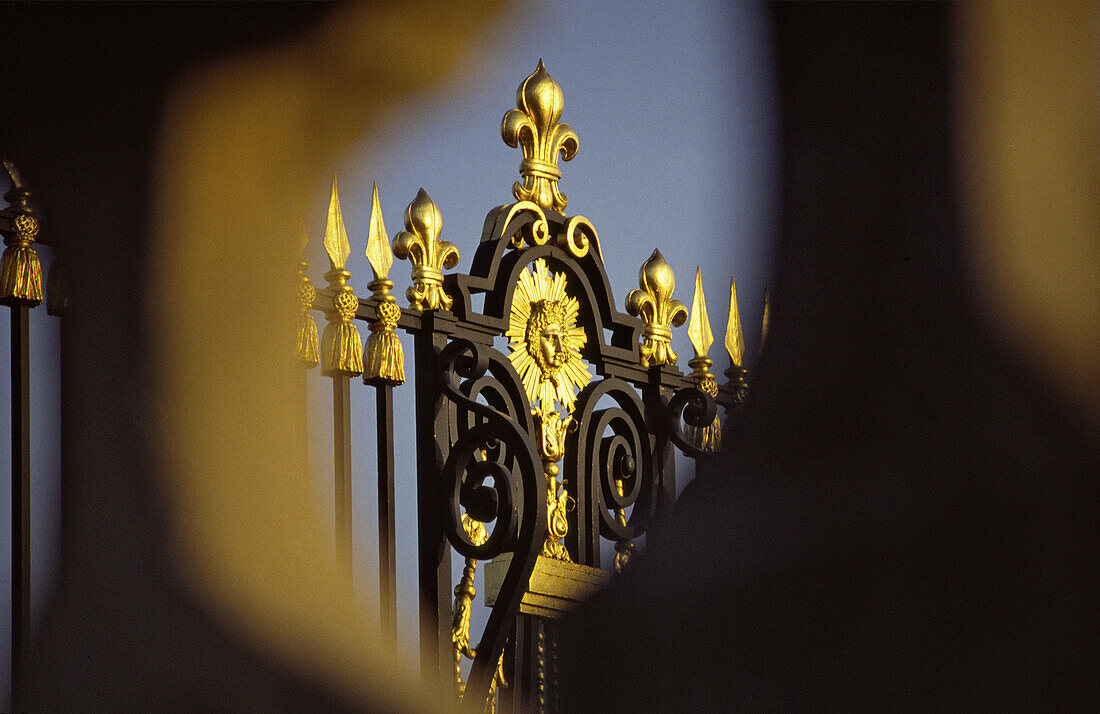 Versailles, castle, golden grid, sun king, France