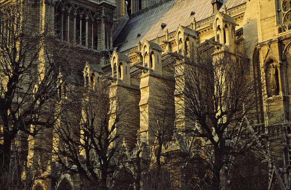 Cathedral Notre Dame, Paris. France