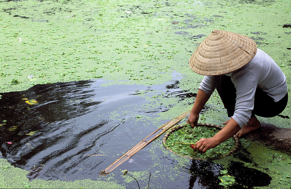 Woman working in field, Bac Ha. Vietnam
