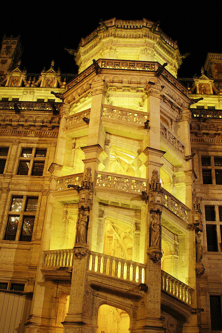 Château de Blois. France.