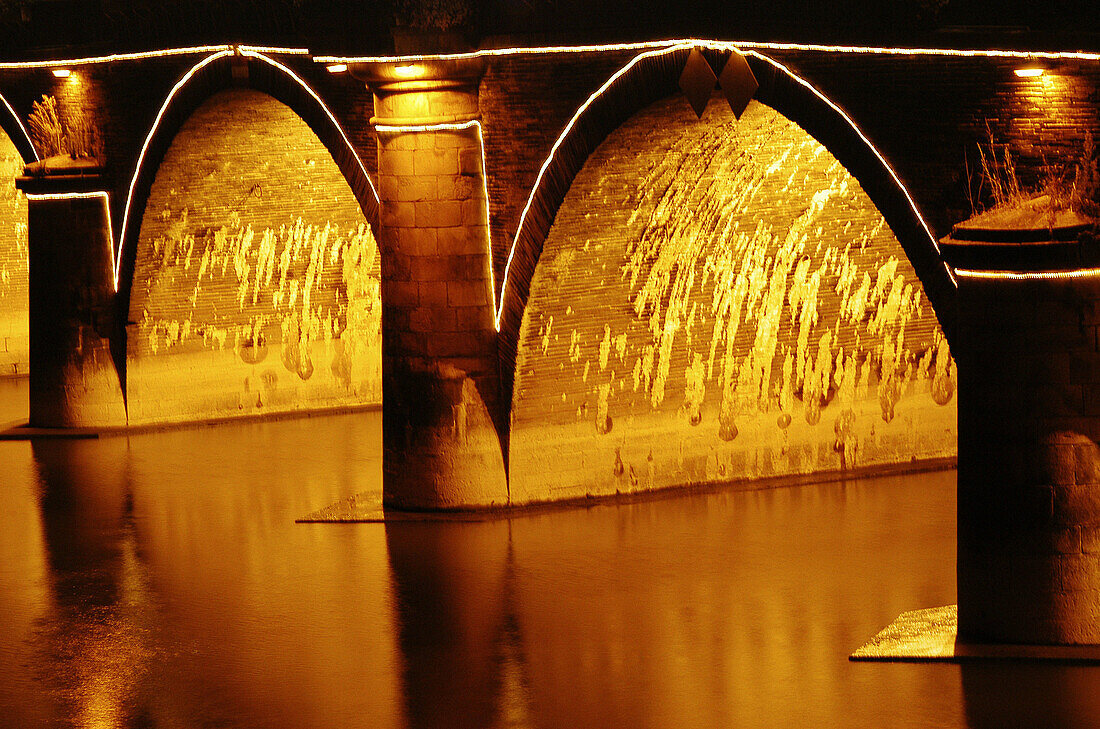 Verdun bridge. Angers. France.