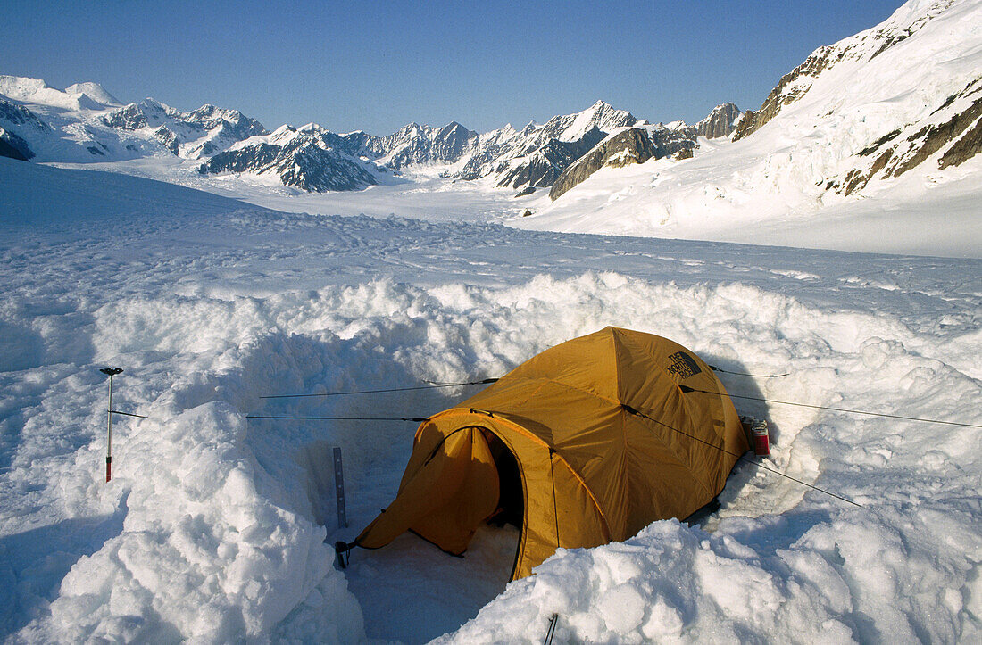 Denali National Park. Alaska. USA.