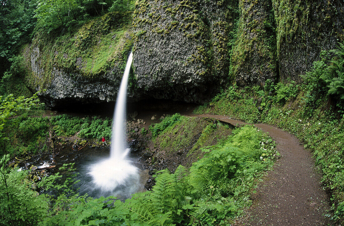 Upper Horsetail Falls. Columbia River Gorge. Oregon. USA.