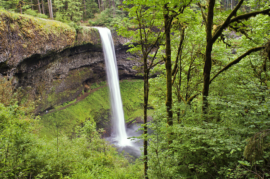 South Falls in Silver Falls State Park near Silverton, Oregon, USA