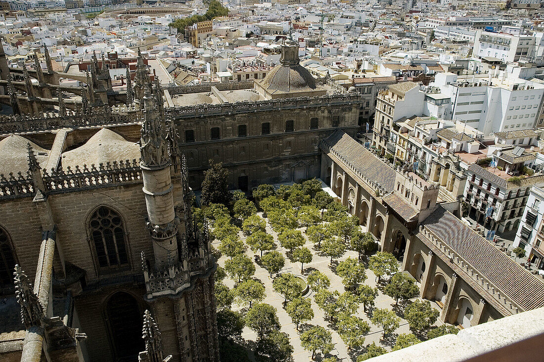 Courtyard of the cathedral, Sevilla. Andalusia, Spain