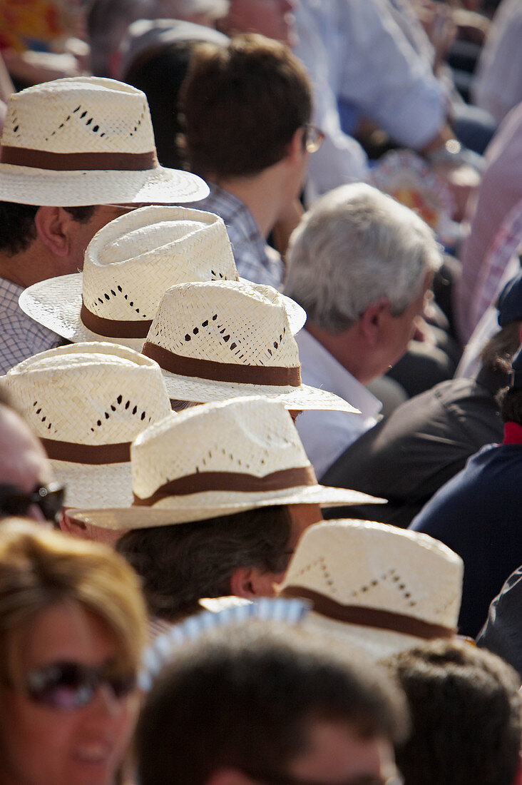 Bullfight spectators with hats. Real Maestranza de Sevilla. Andalucia. Spain.