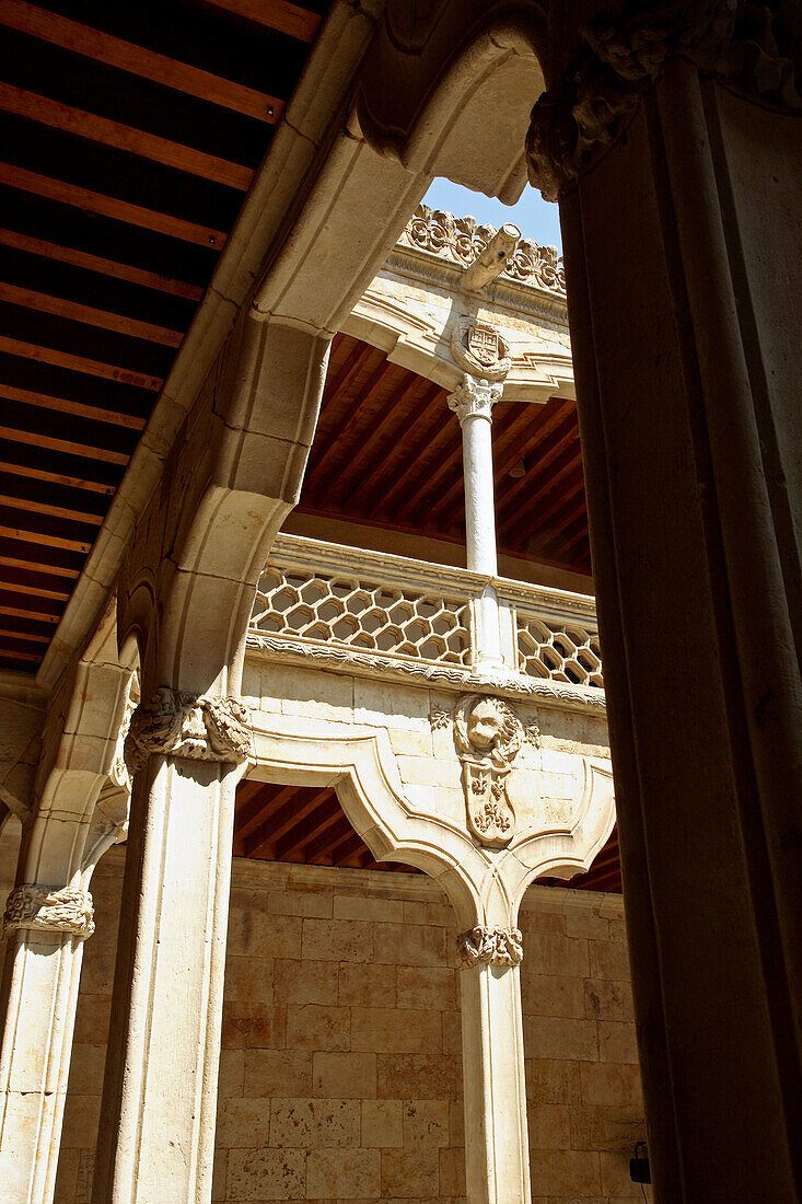 Courtyard of the Casa de las Conchas, now library of the University of Salamanca. Castilla-León, Spain