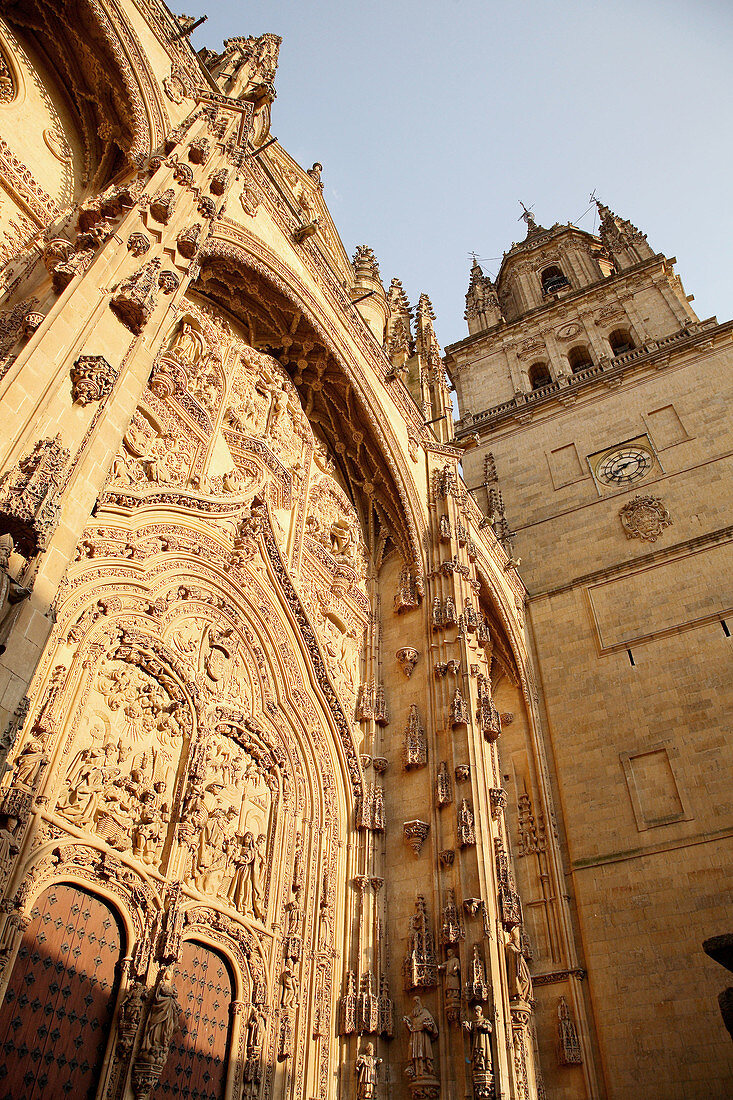 Tower and façade of new cathedral, Salamanca. Castilla-León, Spain