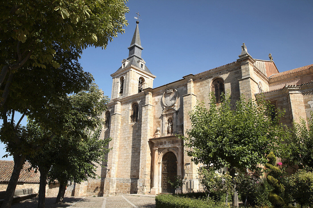 Collegiate church of San Pedro de Lerma (17th Century). Lerma . Burgos province. Castilla y Leon. Spain