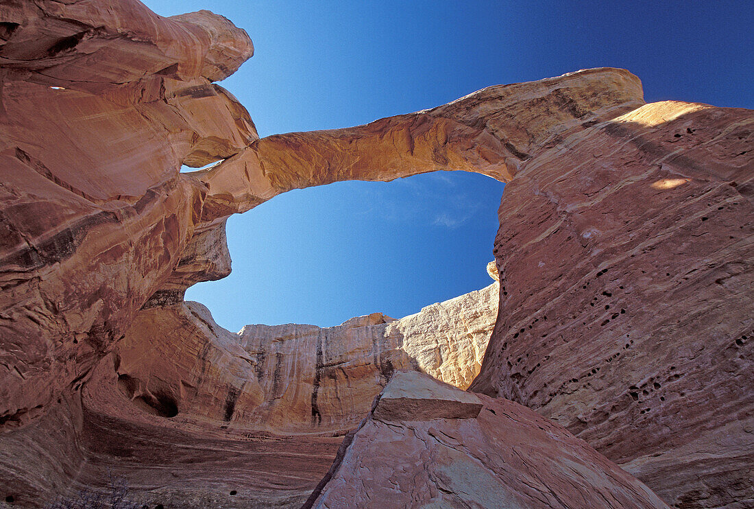 USA, Colorado, ruttlesnake canyon, canyon landscape