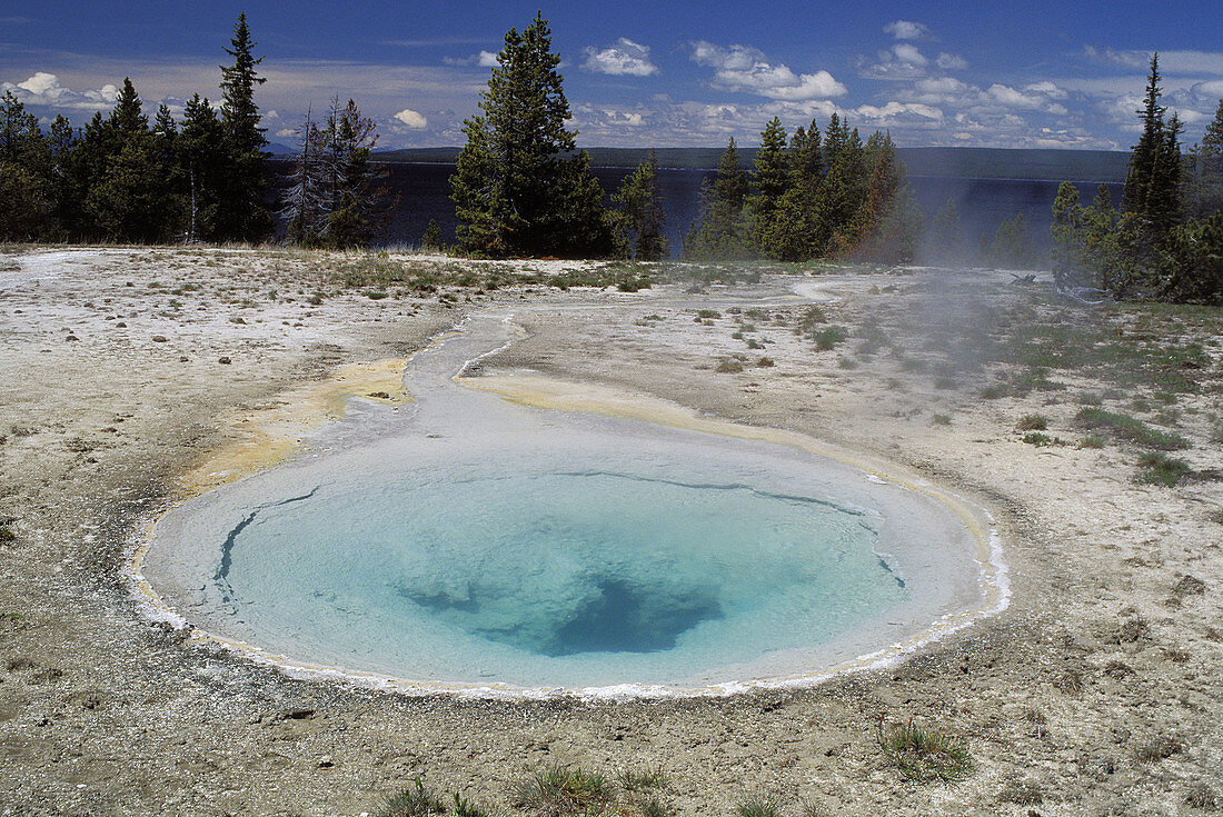 Hot spring in the Yellowstone NP, Wyoming. USA
