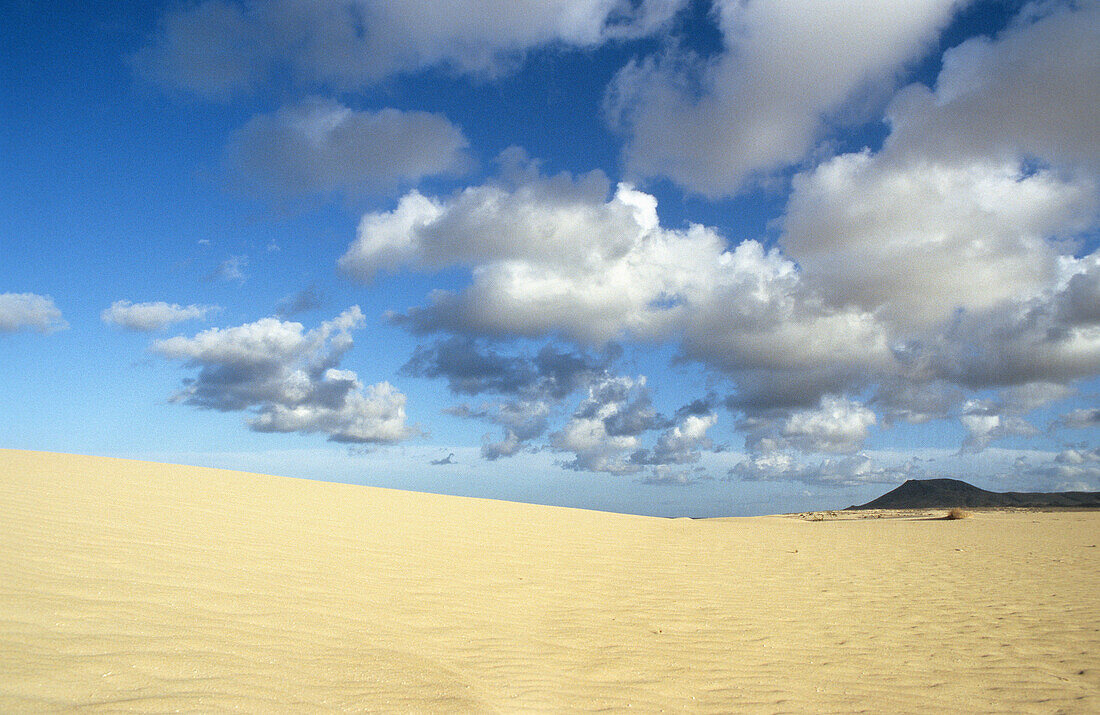 Dunes. Fuerteventura. Canary Islands. Spain