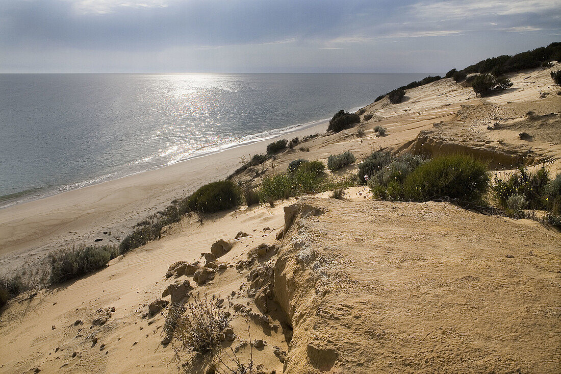 Dunes. El Asperillo. Doñana National Park. Huelva province. Andalucia, Spain