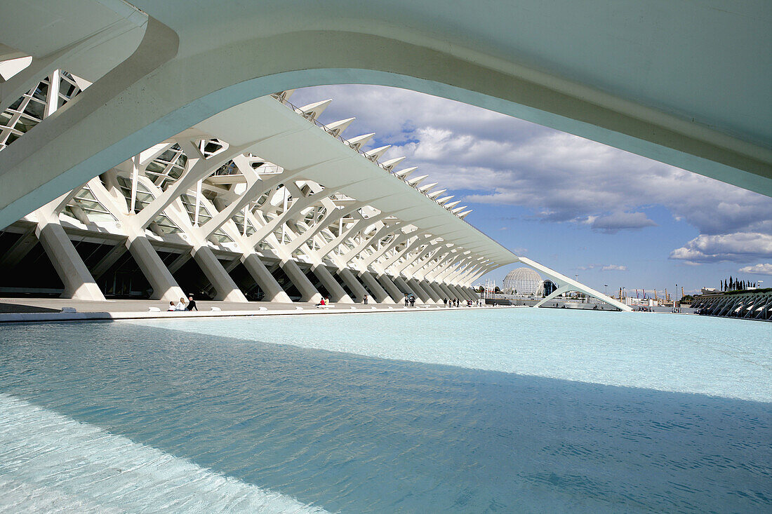 City of Arts and Sciences by S. Calatrava, Valencia. Comunidad Valenciana, Spain