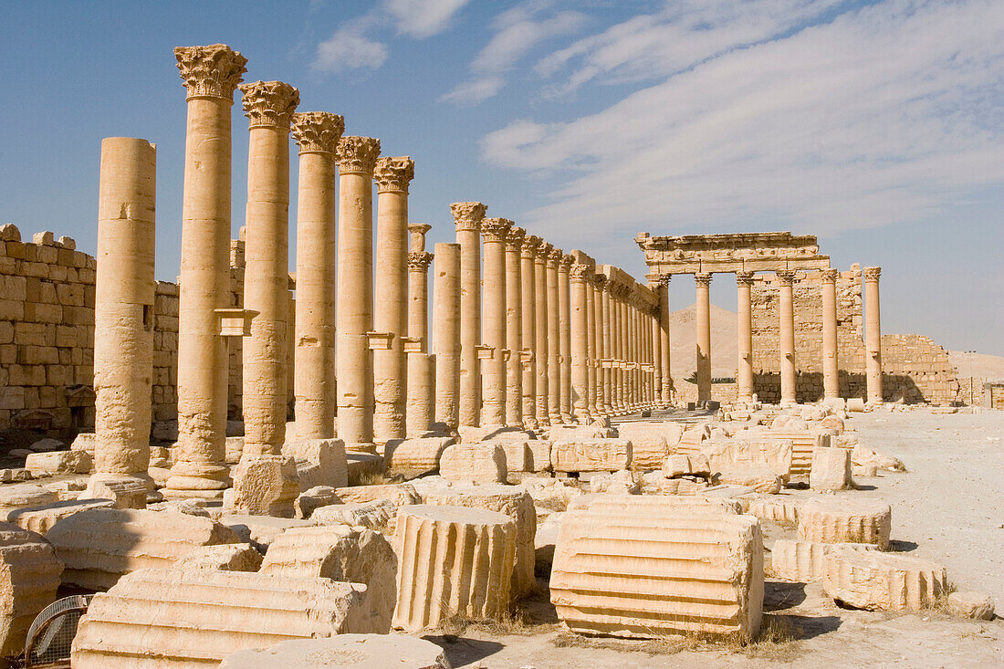 Ancient city of Palmyra. Syria