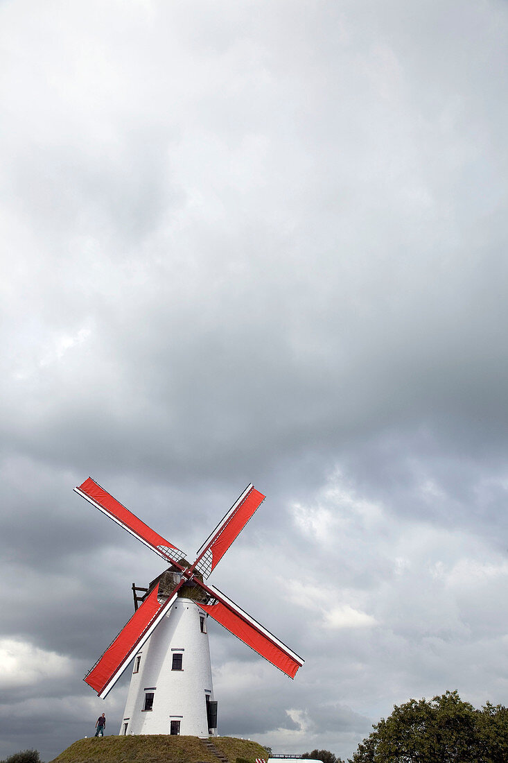 Windmill in Damme. Brugge. Belgium