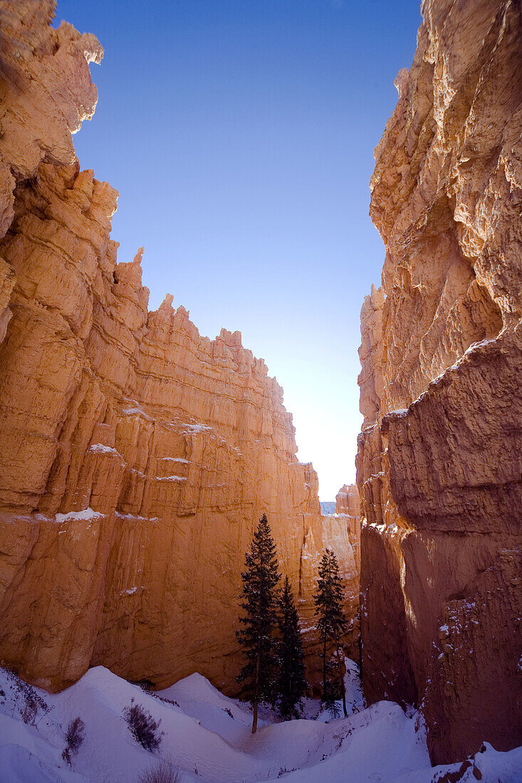 Bryce Canyon Utah, in winter. USA.