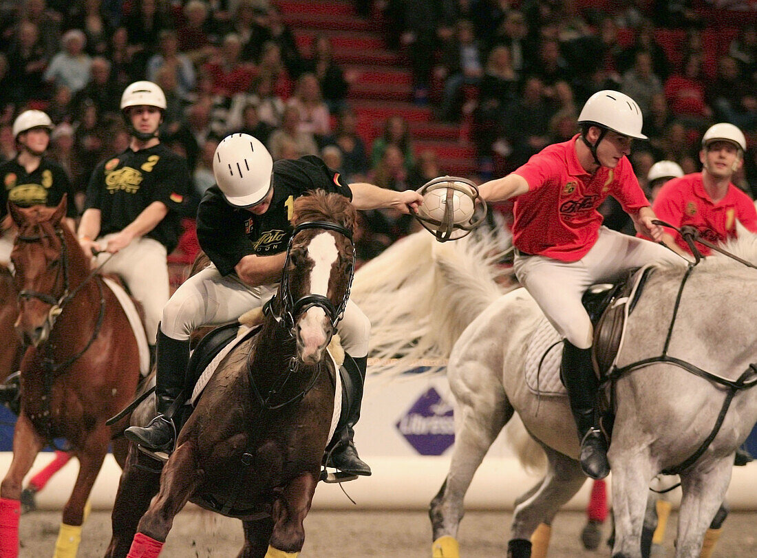 Horseball. Stockholm. Globen Horse show.