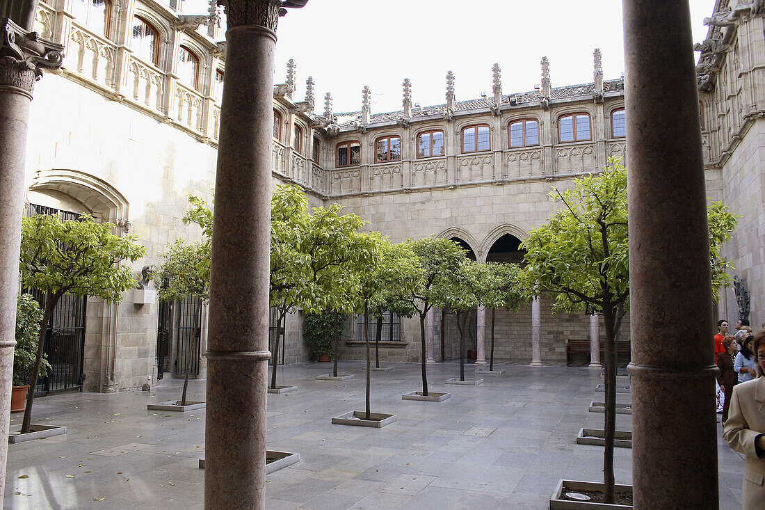 Pati dels Tarongers. Gothic courtyard. Palau de la Generalitat. Plaça de Sant Jaume. Barcelona. Spain.