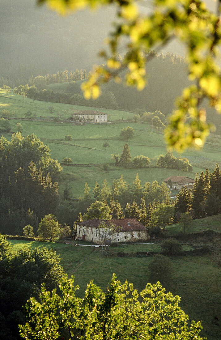 Caseríos (Landhäuser), Oñati. Guipúzcoa, Euskadi, Spanien