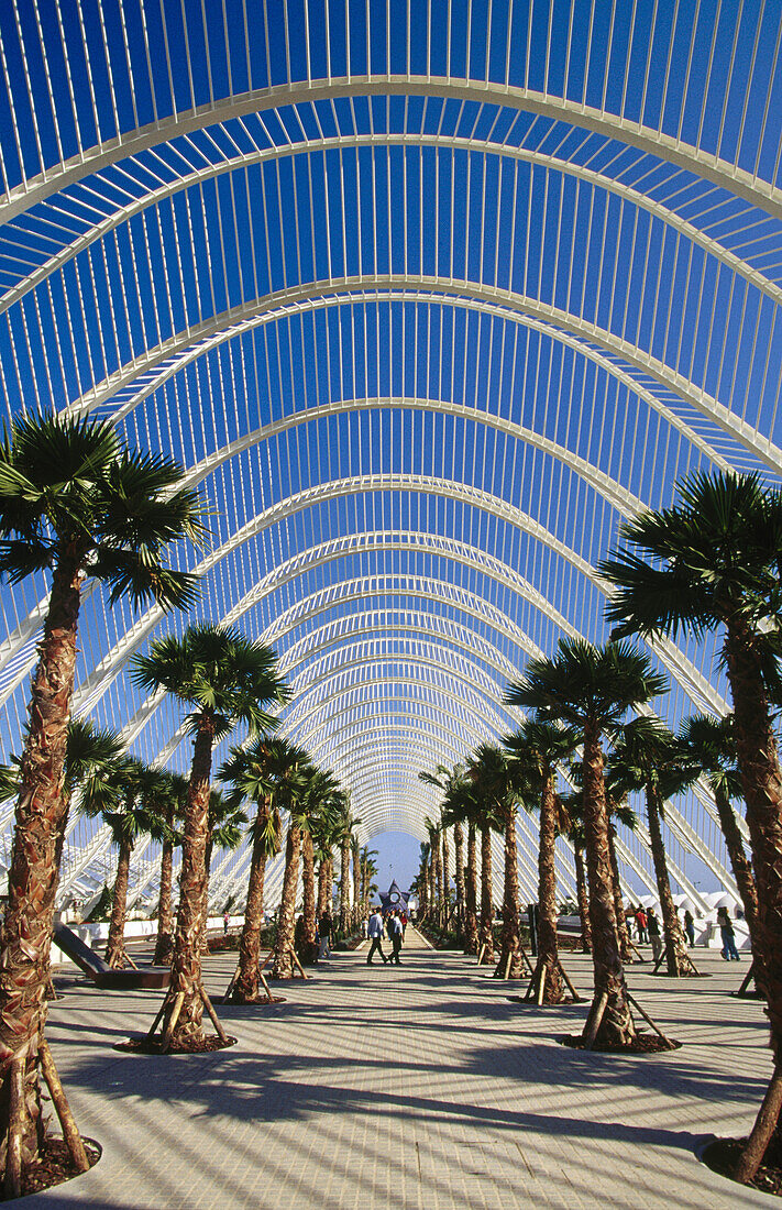 Das Umbracle, Stadt der Künste und Wissenschaften, von S. Calatrava. Valencia. Spanien