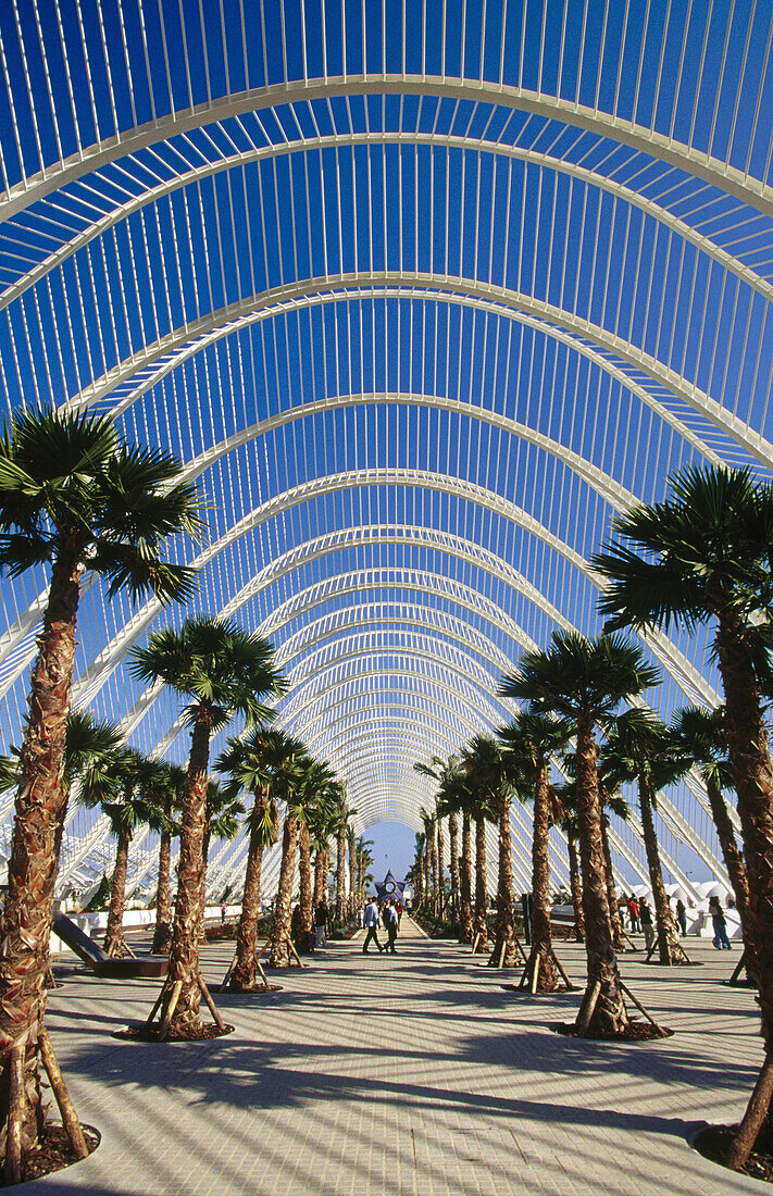 The Umbracle, City of Arts and Sciences, by S. Calatrava. Valencia. Spain