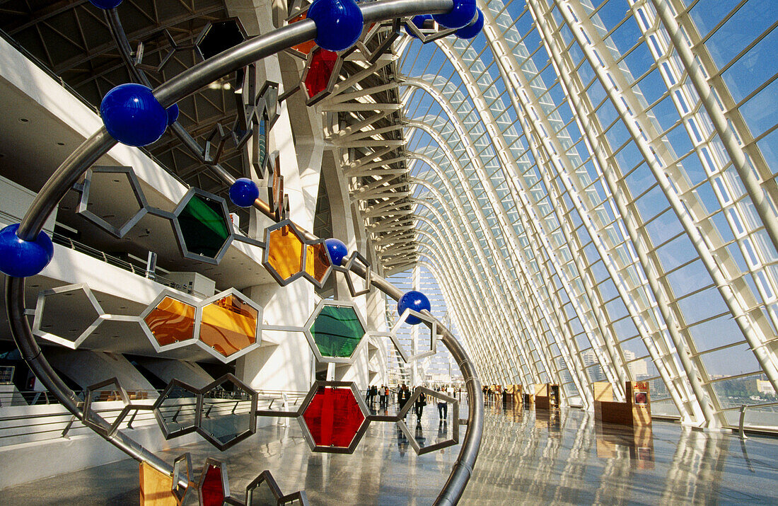 Museo de las Ciencias Príncipe Felipe, Stadt der Künste und der Wissenschaften, von S. Calatrava. Valencia. Spanien