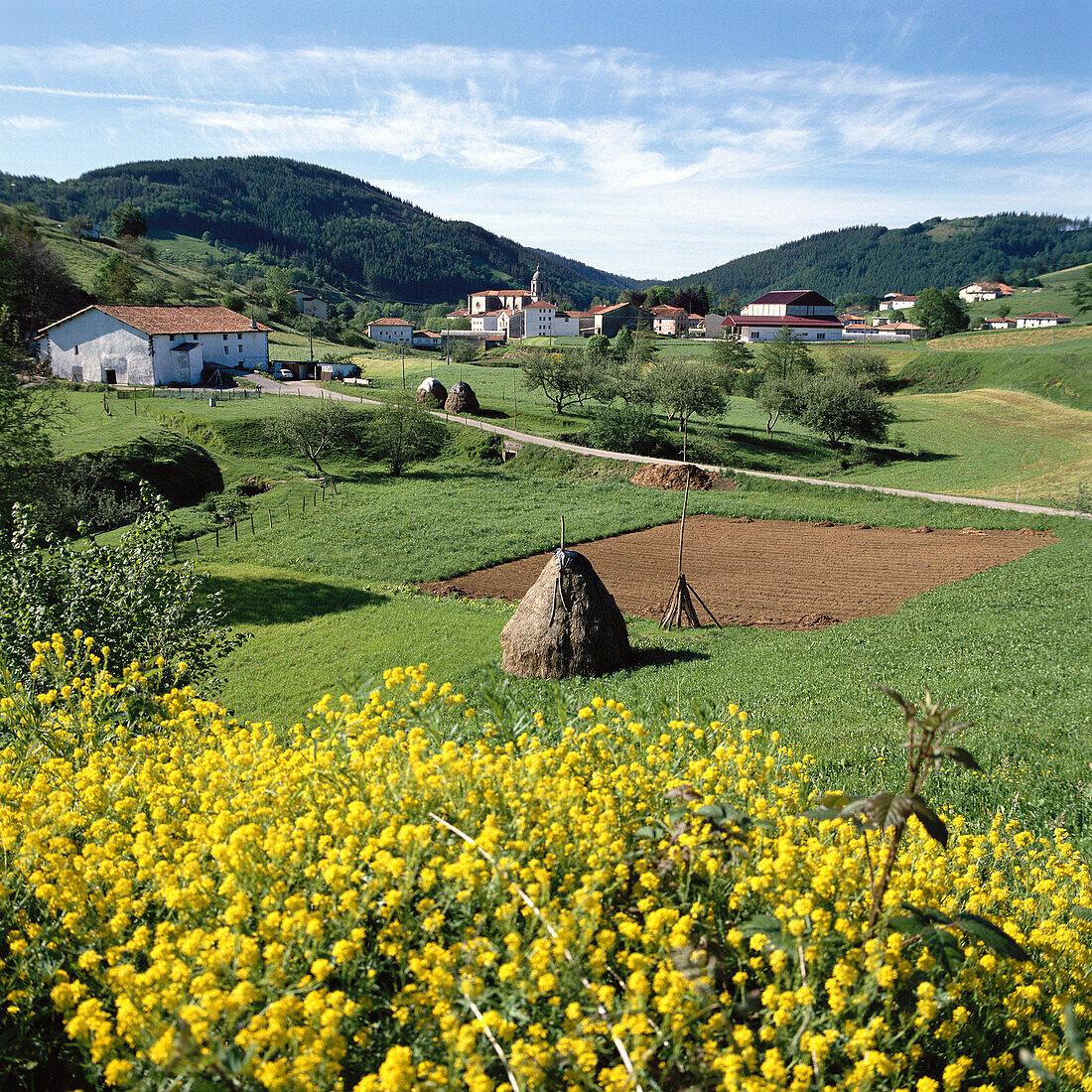 Bidegoian. Guipuzcoa, Euskadi, Spain