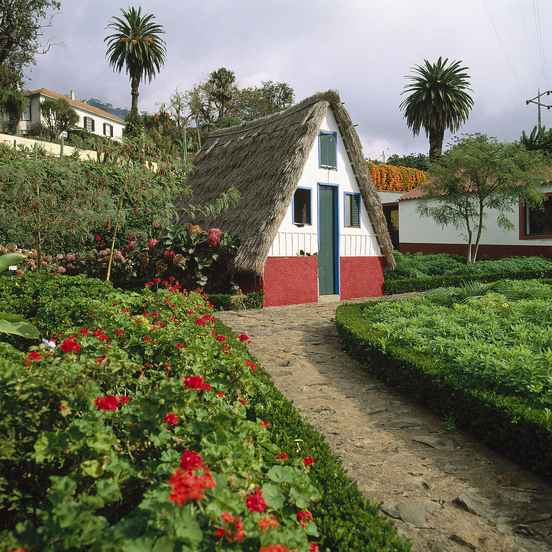 Typical house and botanical garden, Funchal. Madeira, Portugal