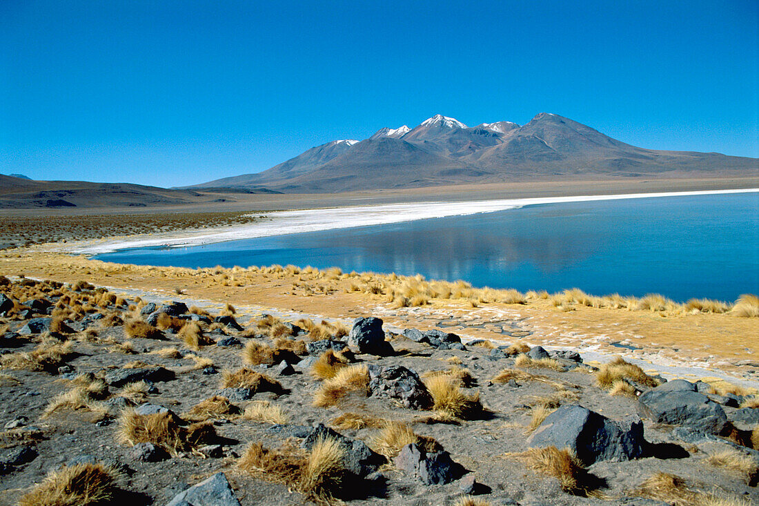 Laguna Cañapa, Los Andes, Southwestern Bolivia