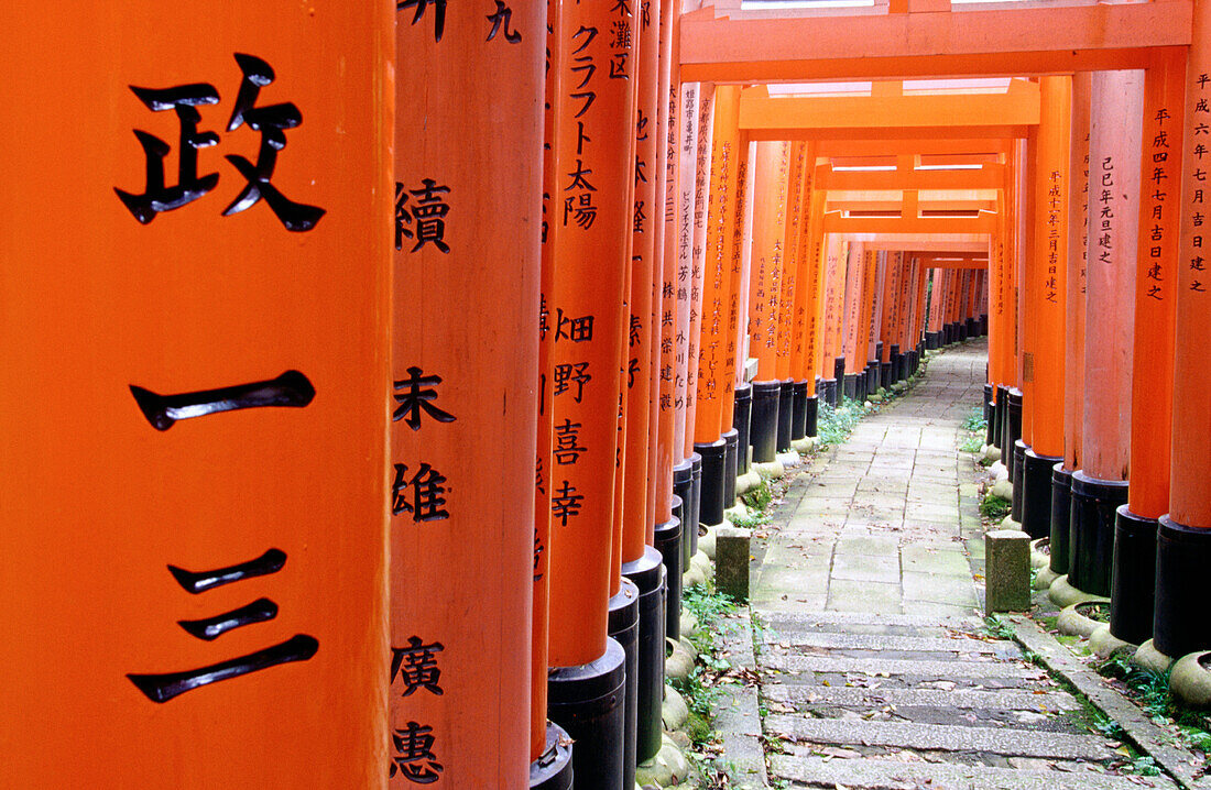 Torii gate. Fushimi Inari Taisha Shrine. Kyoto. Japan