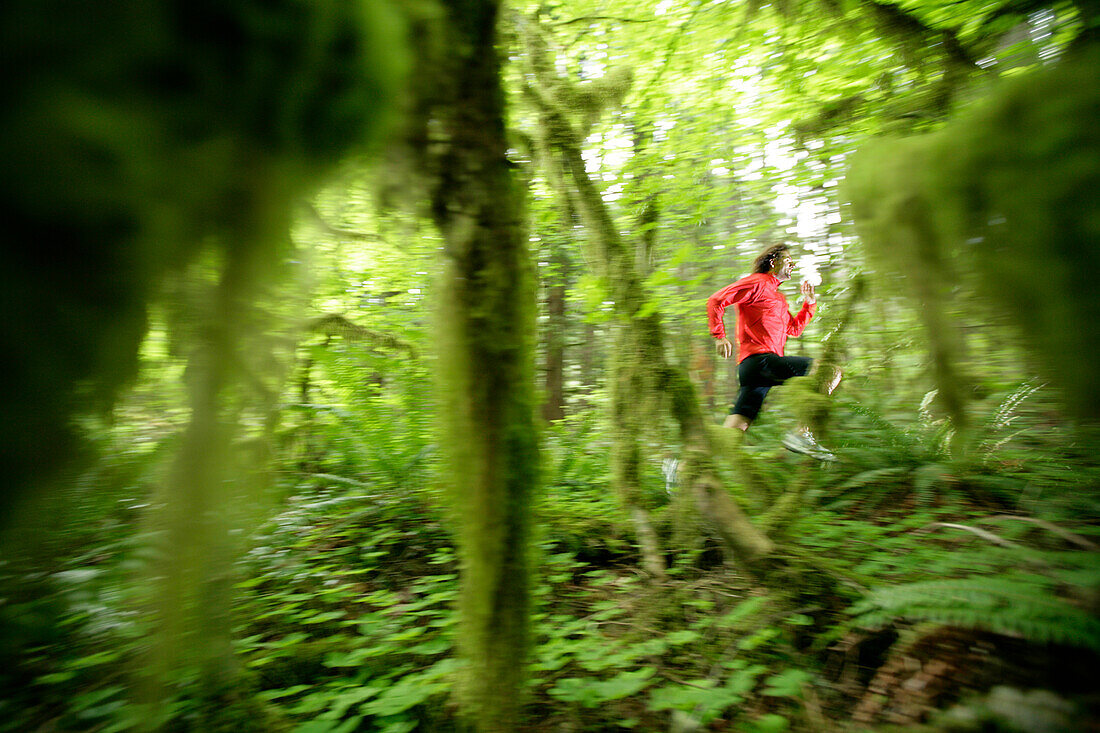 Runner, Man running through Forest near Rhododendron, from Mount Hood to seaside, Oregon, USA, model release