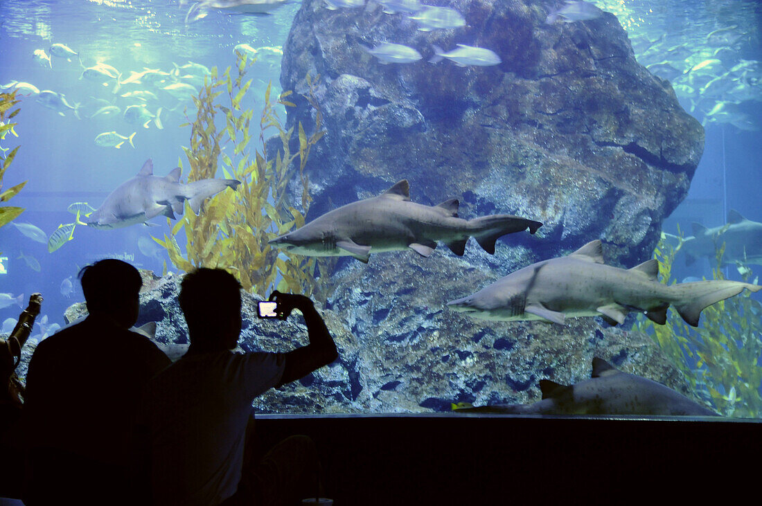 Zwei Touristen im Aquarium am Siam Square, Bangkok, Thailand