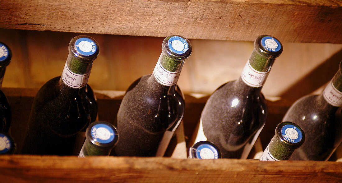 Dusty wine bottles in crate, France